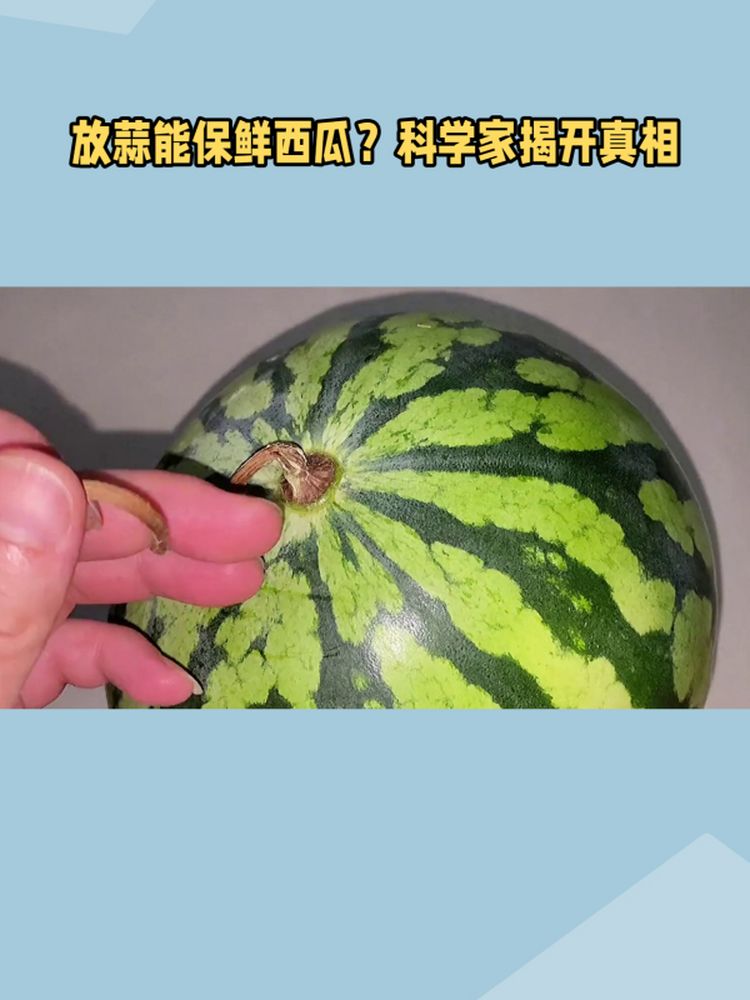 下载听西瓜，探索音乐与生活的无限魅力