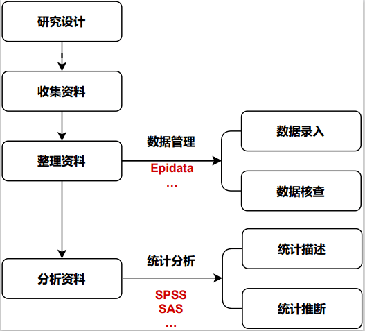 新奥门资料大全正版,深层数据执行设计_创意版67.705