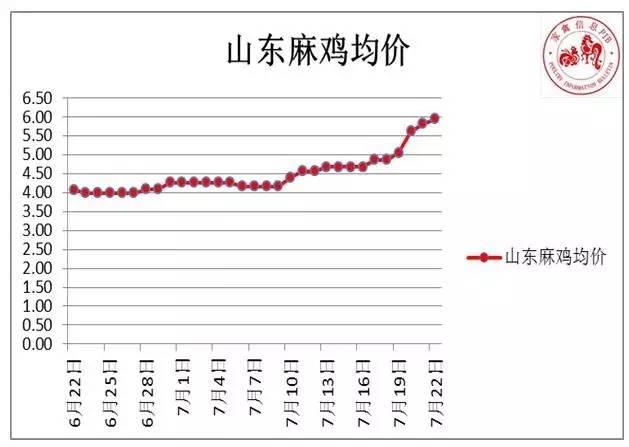 皖北麻鸡最新价格走势及分析，市场趋势与影响因素探讨