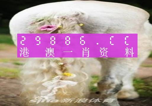 澳门一肖一码一必中一肖,现状解答解释定义_探索版29.822