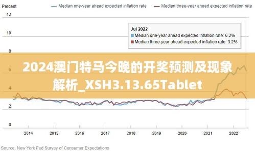 2024新澳门王中王正版,实地数据分析方案_Lite85.379