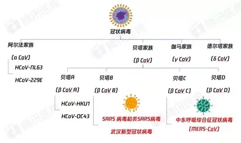 雨梦迟歌 第3页