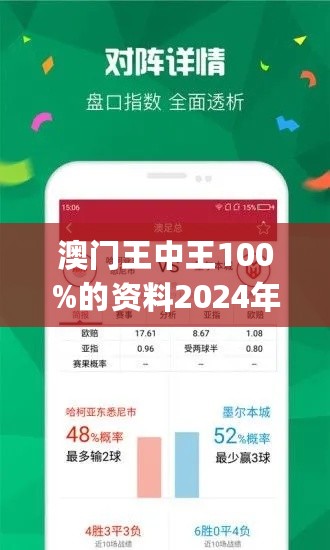 2024年新澳门王中王免费,全面设计解析策略_Holo80.215