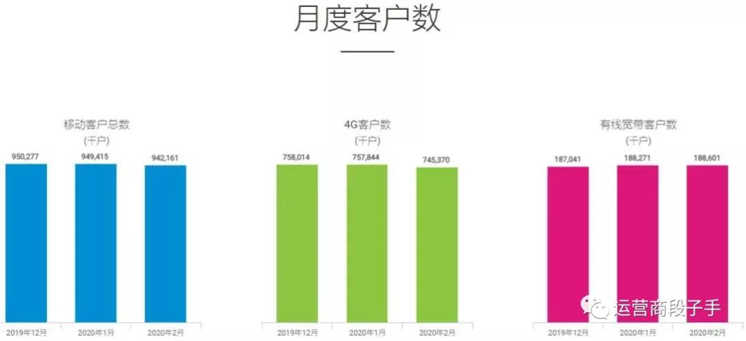 澳门水果爷爷公开资料,全面设计执行数据_纪念版11.62