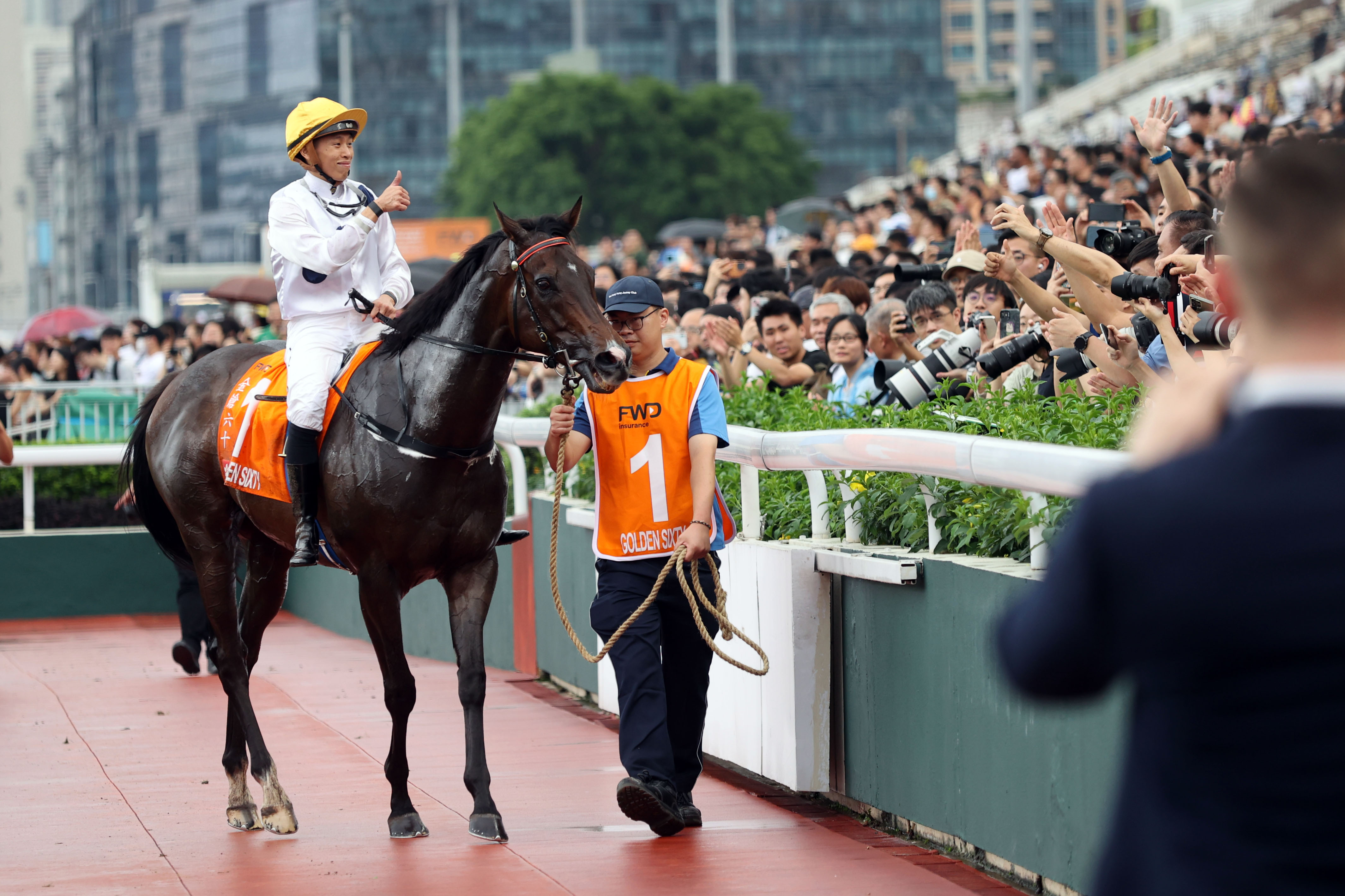 2024香港赛马全年免费资料,统计分析解析说明_限量款83.487