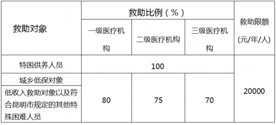 一肖一码精准100一肖中特,实践性执行计划_定制版84.674