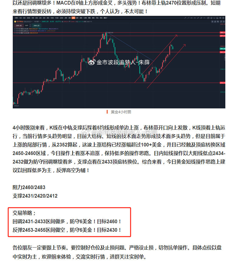 一码中持一一肖一码,实践性策略实施_标准版70.733