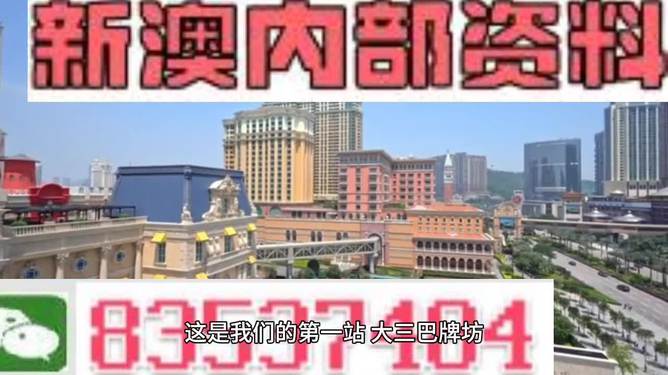 2024年新澳门免费资料,准确资料解释落实_L版95.311