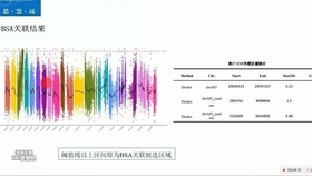 7777788888澳门,深入数据策略设计_ChromeOS13.787