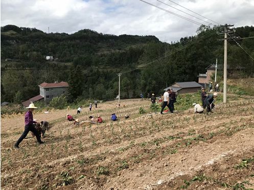 荒山村委会天气预报更新通知