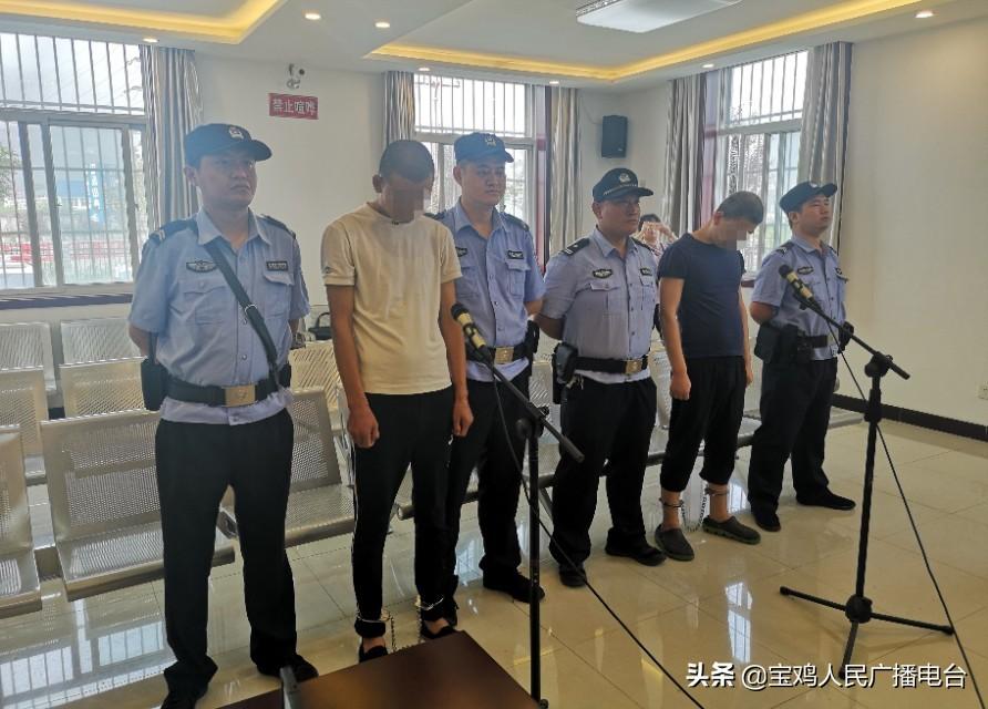 渭滨区公路运输管理事业单位最新项目概览介绍