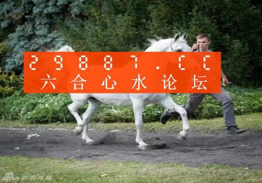 7777788888精准跑狗图正版,最新核心解答定义_AR版43.789