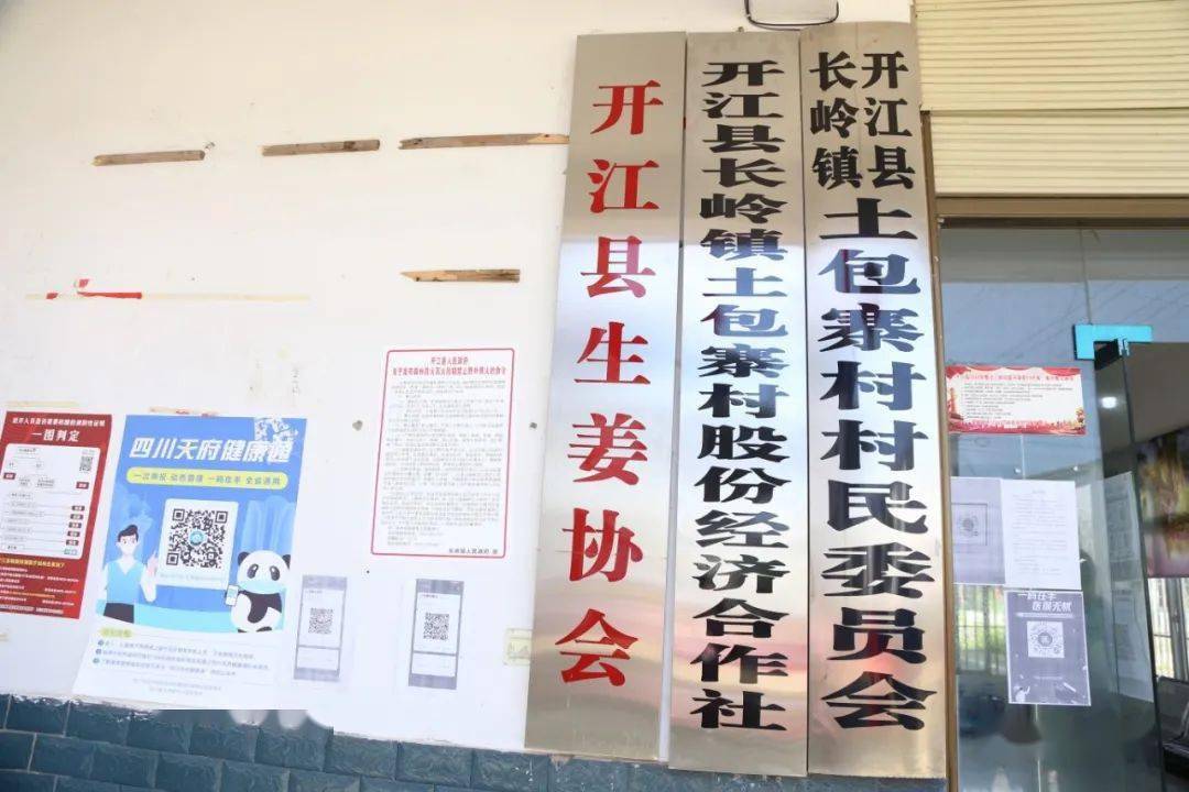 兴安县防疫检疫站最新发展规划概览