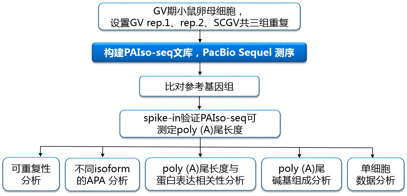 7777788888精准新传真使用方法,深入解析策略数据_KP35.903