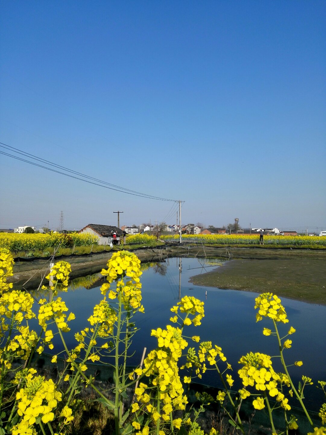 大陇乡天气预报更新通知