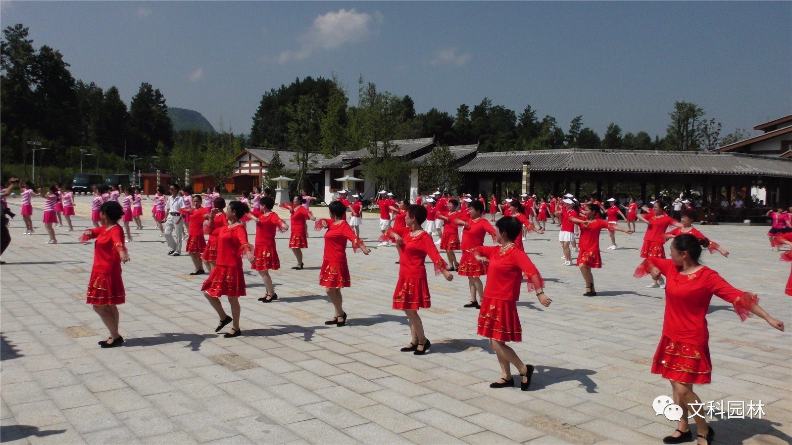 绥阳县剧团新项目，探索传统与现代融合的艺术魅力之旅