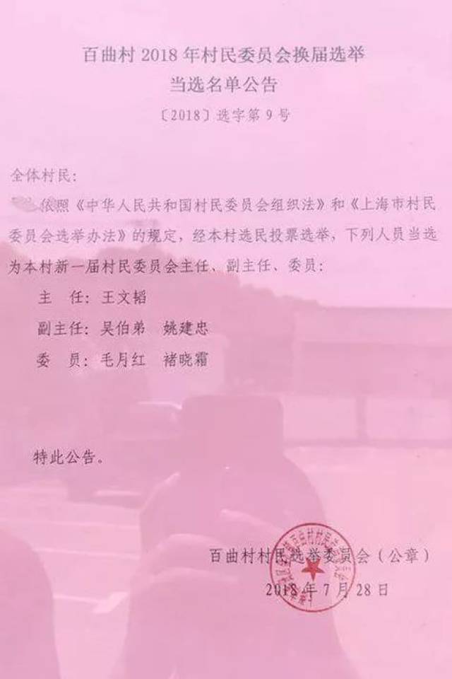 共丰村委会人事任命揭晓，塑造未来乡村发展新篇章