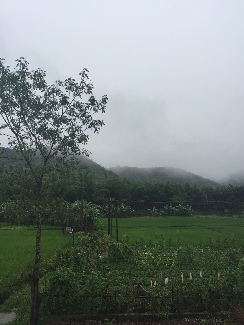 芒翁村今日天气预报通知