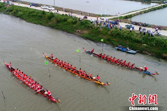 西顺河镇新项目，引领地区发展的璀璨明珠