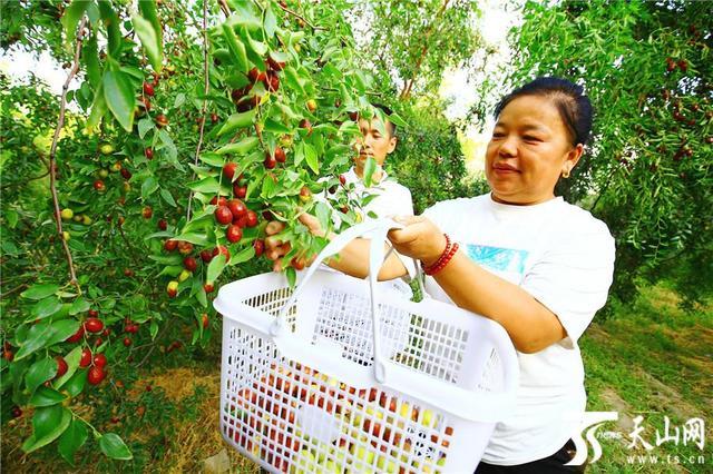 托克逊县特殊教育事业单位招聘信息与解读速递