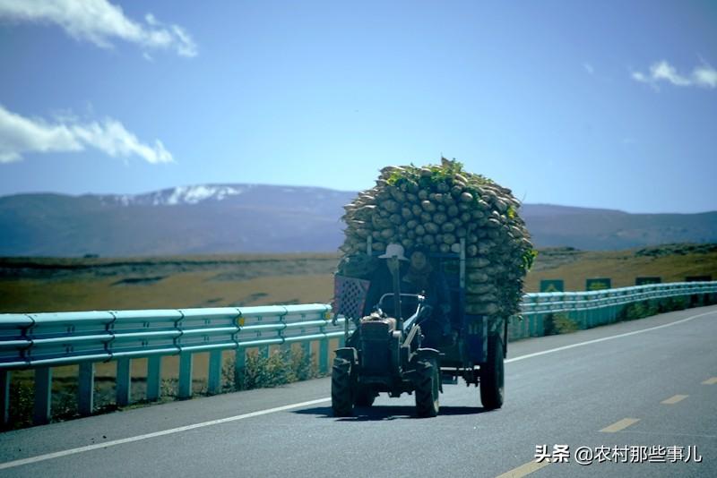 贡巴村委会最新动态报道