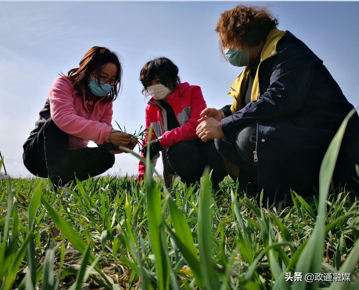 伊宁县防疫检疫站最新发展规划概览