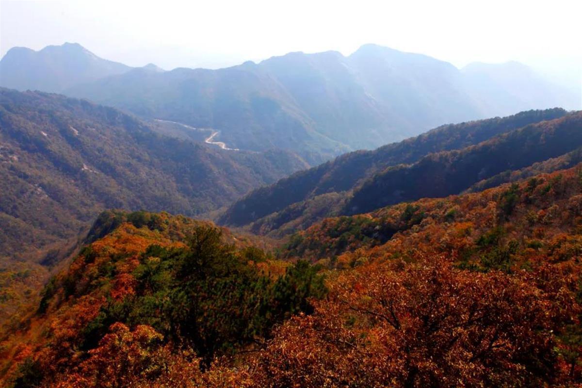 秋古村重塑传统魅力，焕发新乡村活力项目启动