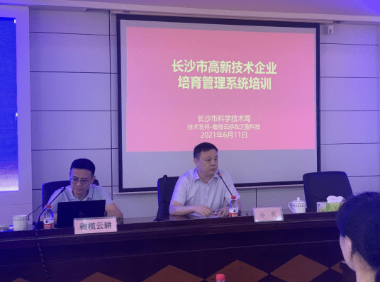 沙市区科技局最新招聘信息与职业机会深度探讨