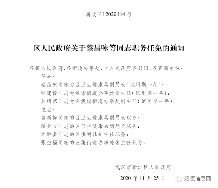 新洲区初中人事任命重塑教育格局，引领未来之光启航