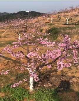 北塔区住房和城乡建设局招聘启事概览