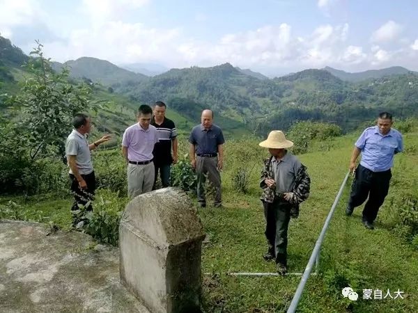 峰岩村交通迈向现代化，乡村交通变革最新报道